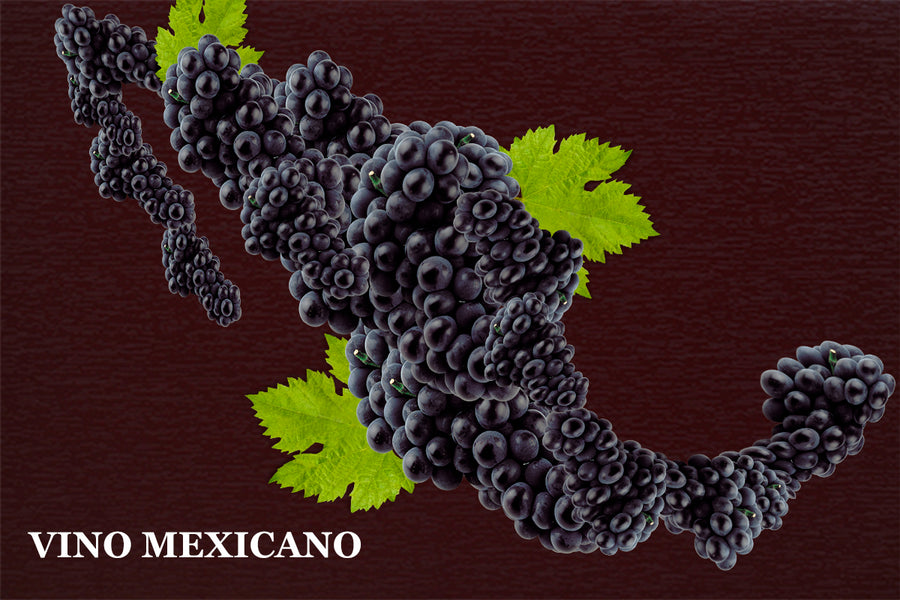 El Vino y México